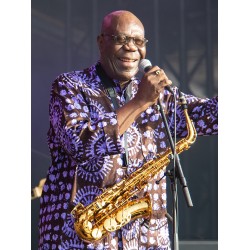 Medienv - Manu Dibango