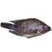 AAFRO TEST